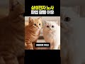 "18일 멈추면 수십조 증발? 삼성전자 반도체 파업, 진짜 엎어진 이유