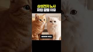 "18일 멈추면 수십조 증발?  삼성전자 반도체 파업, 진짜 엎어진 이유