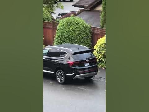 2021 Hyundai Santa Fe Alarm - YouTube
