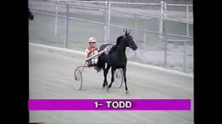 1995 Scioto Downs DEO VALIENTE Jeff Fout
