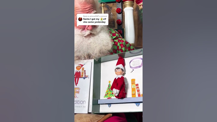 Santa’s Elf on the Shelf! ✨