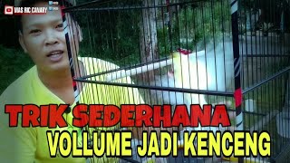 Download Lagu Perawatan kenari paud BULU TEBAL agar cepat gacor dan volume keras pecah suara MP3 Download Lagu Perawatan kenari paud BULU TEBAL agar cepat gacor dan volume keras pecah suara MP3