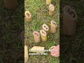 What Is Mölkky?! Learning in Osaka 🇯🇵