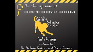 Decoding Dogs: Tail Chasing
