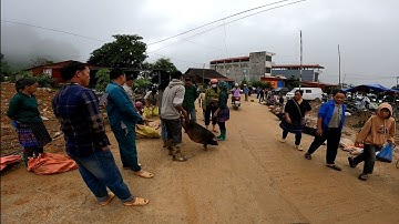 CHỢ LỢN CẮP NÁCH VÀ DÊ NÚI TÂY BẮC - CỐC LY BẮC HÀ LÀO CAI