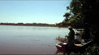 MARTIN PESCADOR DE SANTA CRUZ DO RIO PARDO