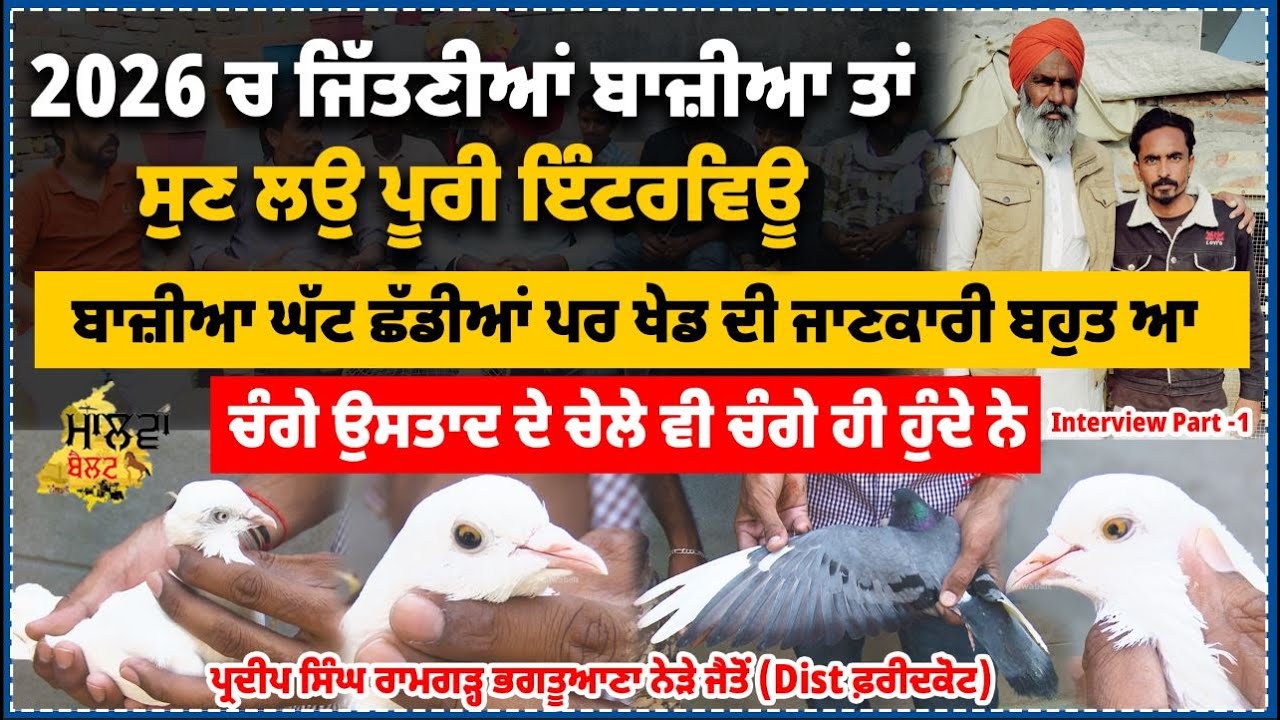 ਬਾਜ਼ੀਆ ਘੱਟ ਛੱਡੀਆਂ ਪਰ ਖੇਡ ਦੀ ਜਾਣਕਾਰੀ ਬਹੁਤ ਆ  | ਚੰਗੇ ਉਸਤਾਦ ਦੇ ਚੇਲੇ ਵੀ ਚੰਗੇ ਹੀ ਹੁੰਦੇ ਨੇ | ਪ੍ਰਦੀਪ ਭਗਤੂਆਣਾ