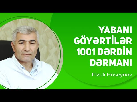 Yabanı göyərtilər - min bir dərdin dərmanı | Fizuli Hüseynov