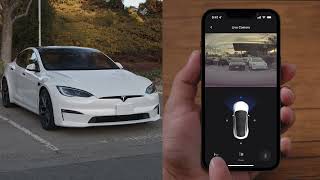 How to view Tesla through live camera?