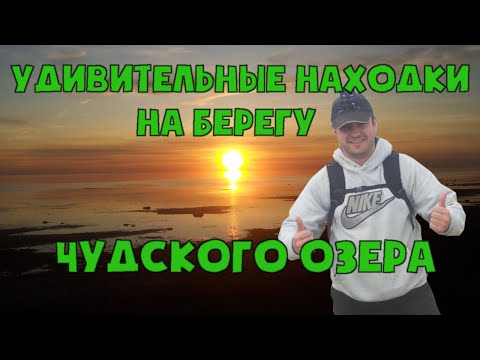 Удивительные находки на берегу Чудского озера