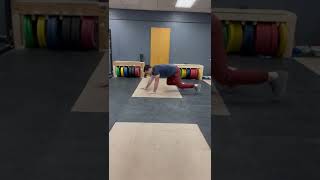 Bear Crawl & Reverse Bear Crawl