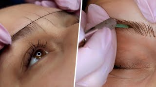 FULL MICROBLADING PROCESS  STEP BY STEP