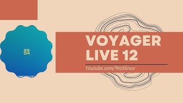 First Look: Voyager Live 12