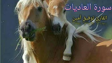 سورة العاديات تلاوة خاشعة القارئ||توفيق أمين