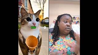 Which Snack Would You Give Your Meowl shorts funny youtubeshorts shortsfeed