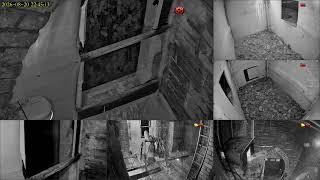 Welcome to our livestream of Owls in the Tower