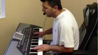 Video thumbnail of "Damir Begovic Dado -SADRVANI  cover"