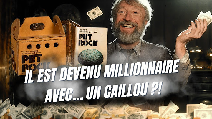 Il est devenu MILLIONNAIRE avec un simple CAILLOU ?!