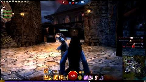 Funny Guild Wars 2 Bug