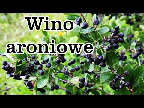 Wideo: Pyszne I Proste Wino Aroniowe