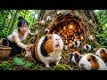 [TIMELAPSE] -- Harvesting A Lot Of Big Guinea &amp; Go To Market Sell | The world's cutest mouse species
