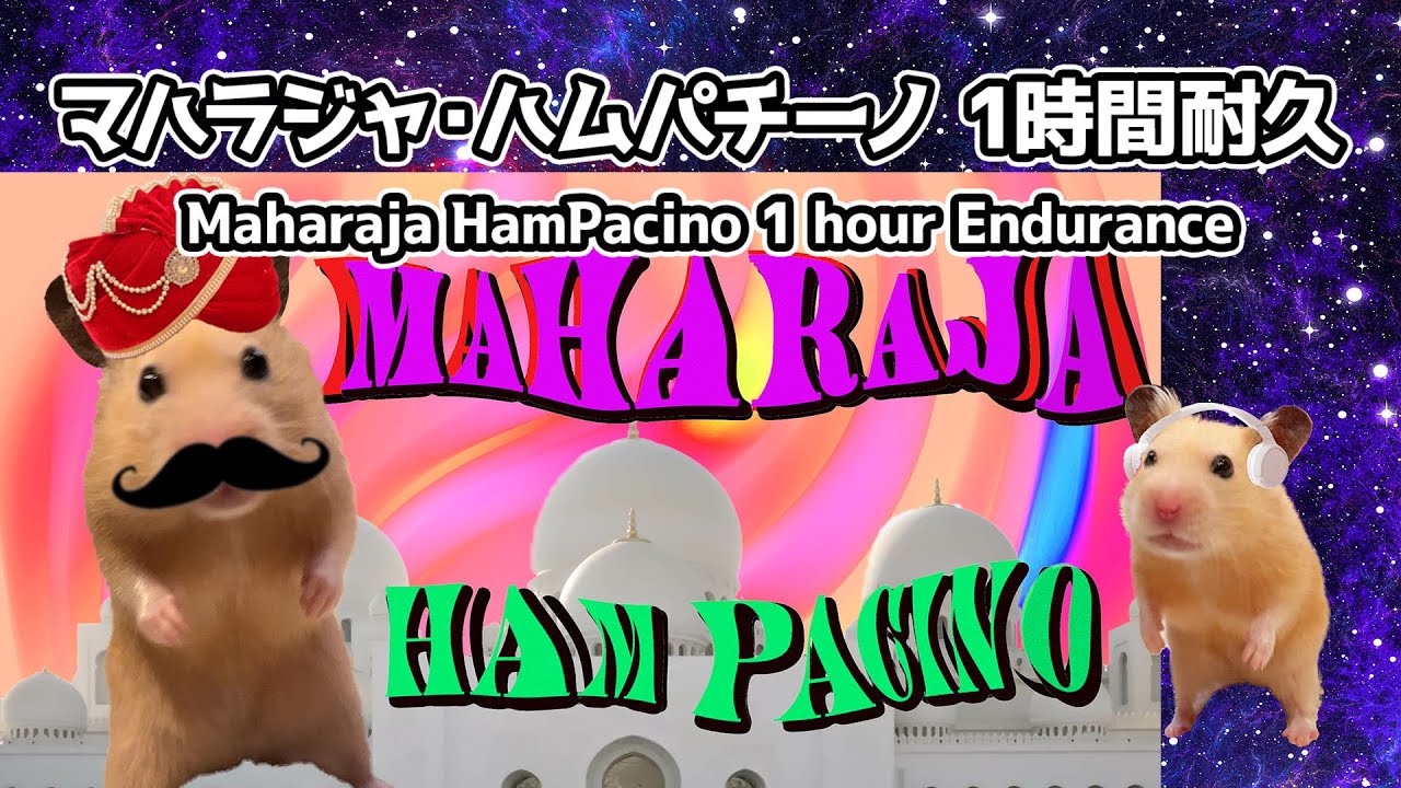 Maharaja HamPacino 1 hour Endurance - マハラジャ・ハムパチーノ 1