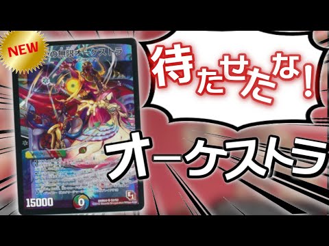 カードキングダム