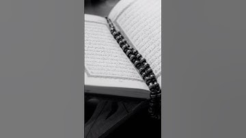 من بدائع القارئ أمين موسى. ج١٥