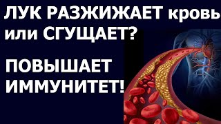 Густая кровь и полезные продукты  ПОЛЬЗА ЛУКА. ЛУК РАЗЖИЖАЕТ КРОВЬ ИЛИ СГУЩАЕТ. ПОВЫСИТЬ ИММУНИТЕТ.