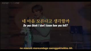 Stray Kids (스트레이 키즈) – Waiting For Us (피어난다) | Lyrics / 가사   concert vid [Han, Eng, Rom]