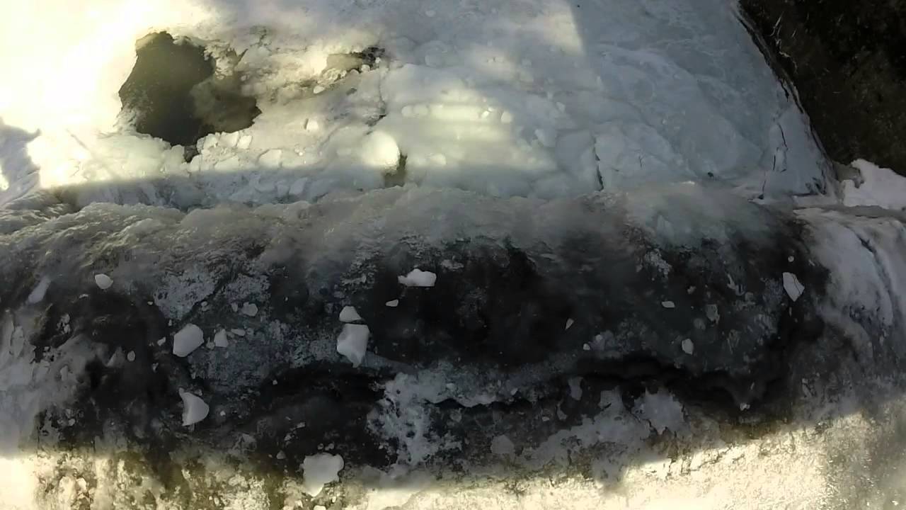 Indian Kill Nature Preserve