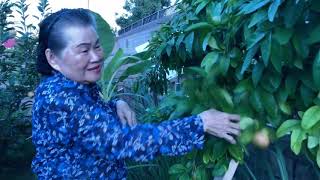 EP13. Let’s My Cute Grandma Introduces Her Beautiful Garden