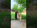Namazi pr Allah ki madad #viralvideo #ytshorts #india #youtube