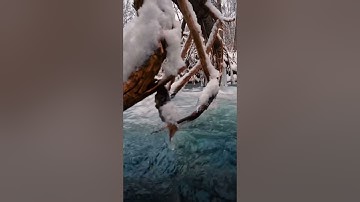 القارئ عبد العزيز العسيري سوره (الحديد)
