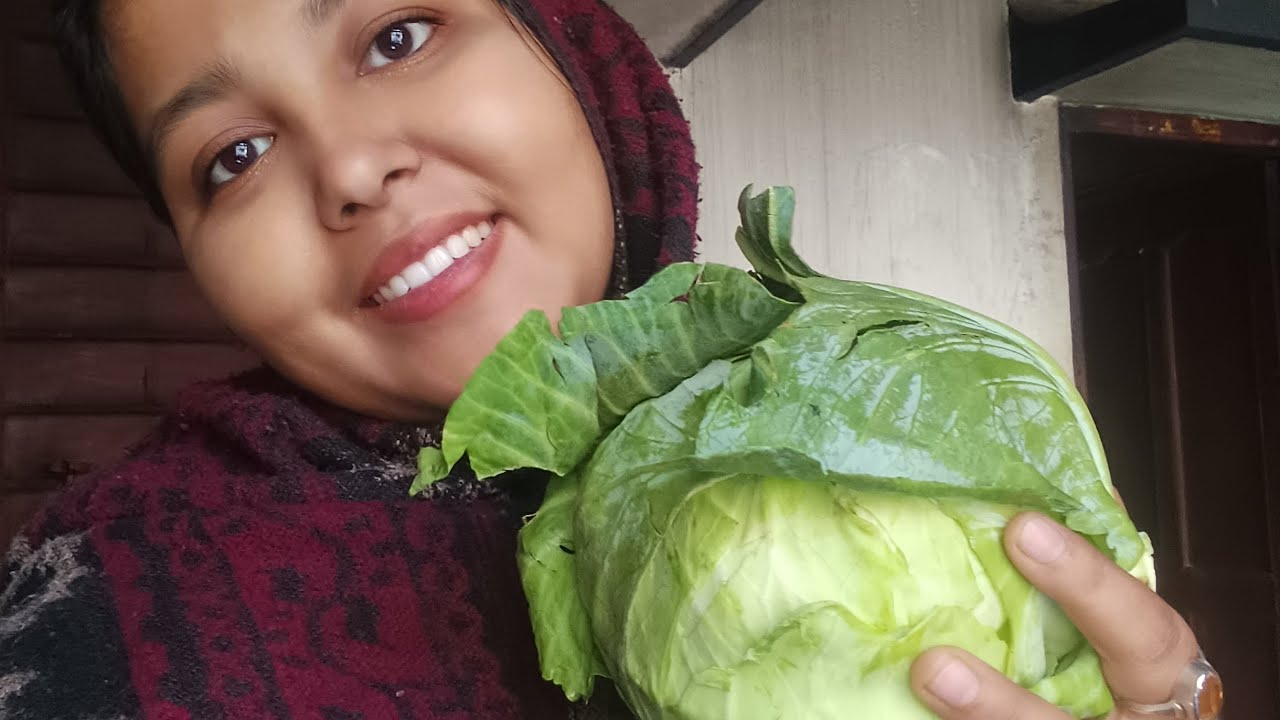 শীতকাল মানেই বাঁধাকপি 🥰🥰🥰🥰🥰