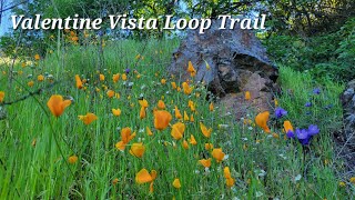 Valentine Vista Loop Trail ~ Moore Creek park