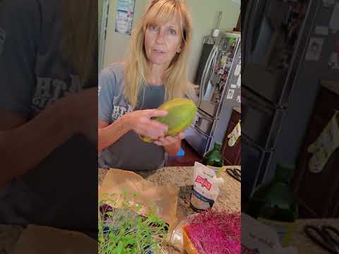 All Videos