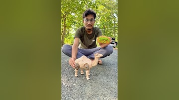 Rc Remote Control Camel Unboxing 🐪