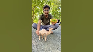 Rc Remote Control Camel Unboxing 🐪