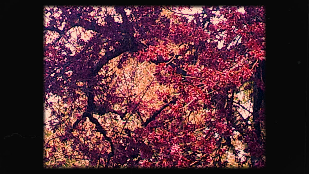 Making a Camcorder Look Like Film YouTube