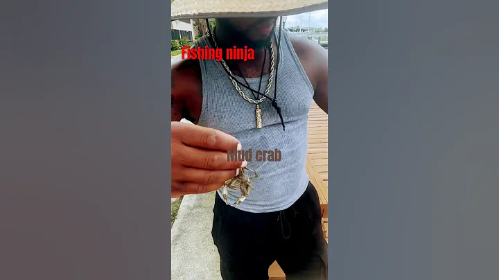 How to catch sheepshead #fishing #florida #fish #shorts #foryou #live ￼#motivation #crab