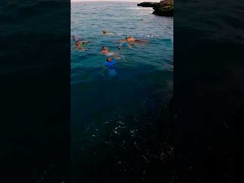 المغرب Youtube