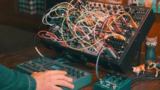 UNDERGROUND STATION // EURORACK + OCTATRACK