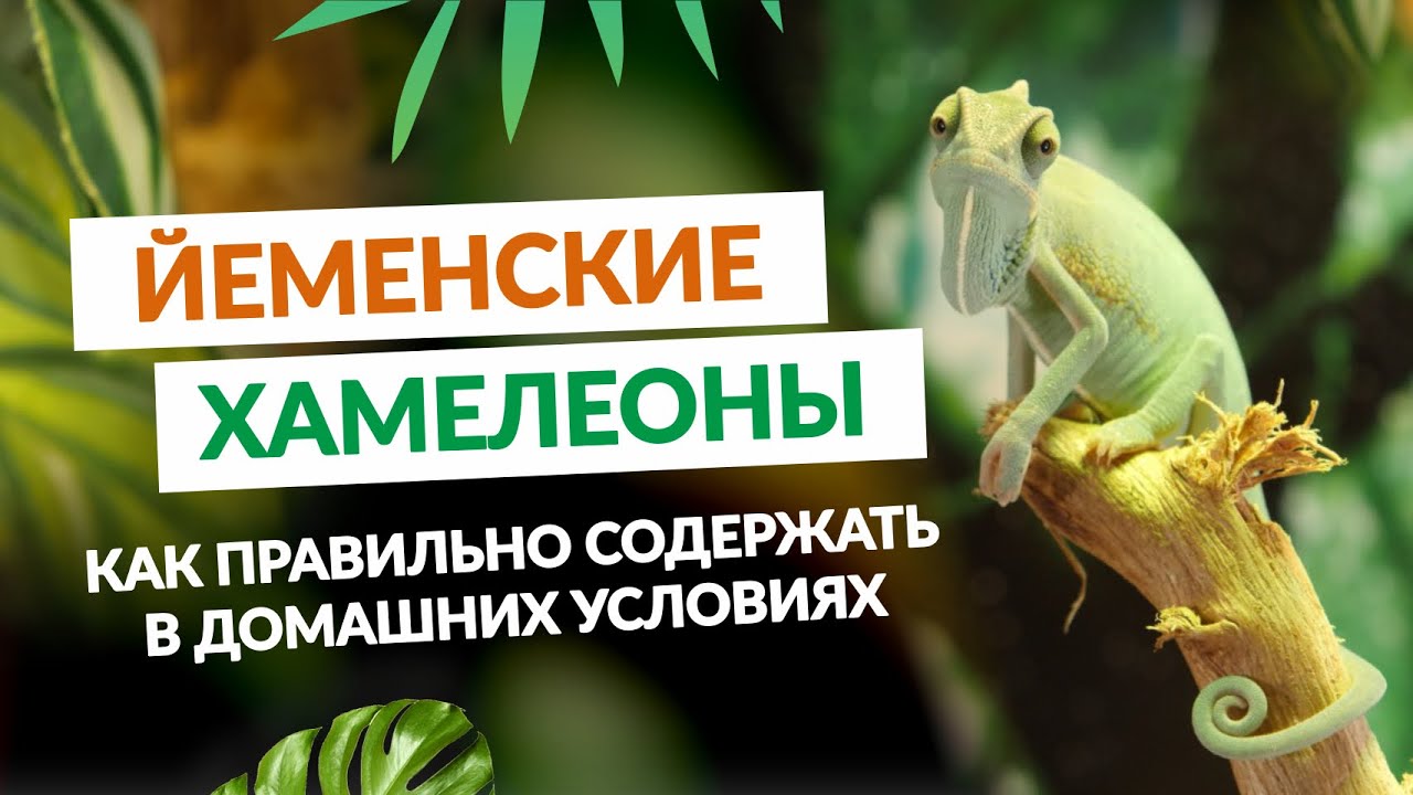 Температура и влажность