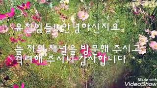 유친님들 추석 명절 감사 인사 드립니다