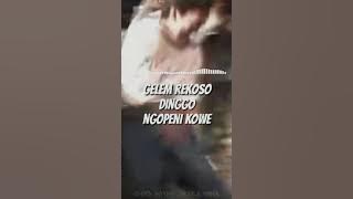 [STORY WA] TANPA BATAS - KERE YOBEN | Aku wong ra nduwe nanging gelem nyambut gawe.
