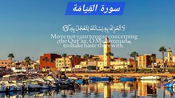 سورة القيامــة كامـلـــة ♡ القــارئ هانــي الرفاعــي ♡