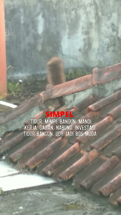 bawa santai aja kawan. #viral #trending #story #status #youtubeshorts #shorts #fyp