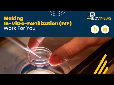Webinar: Making In-Vitro-Fertilization (IVF) Work For You