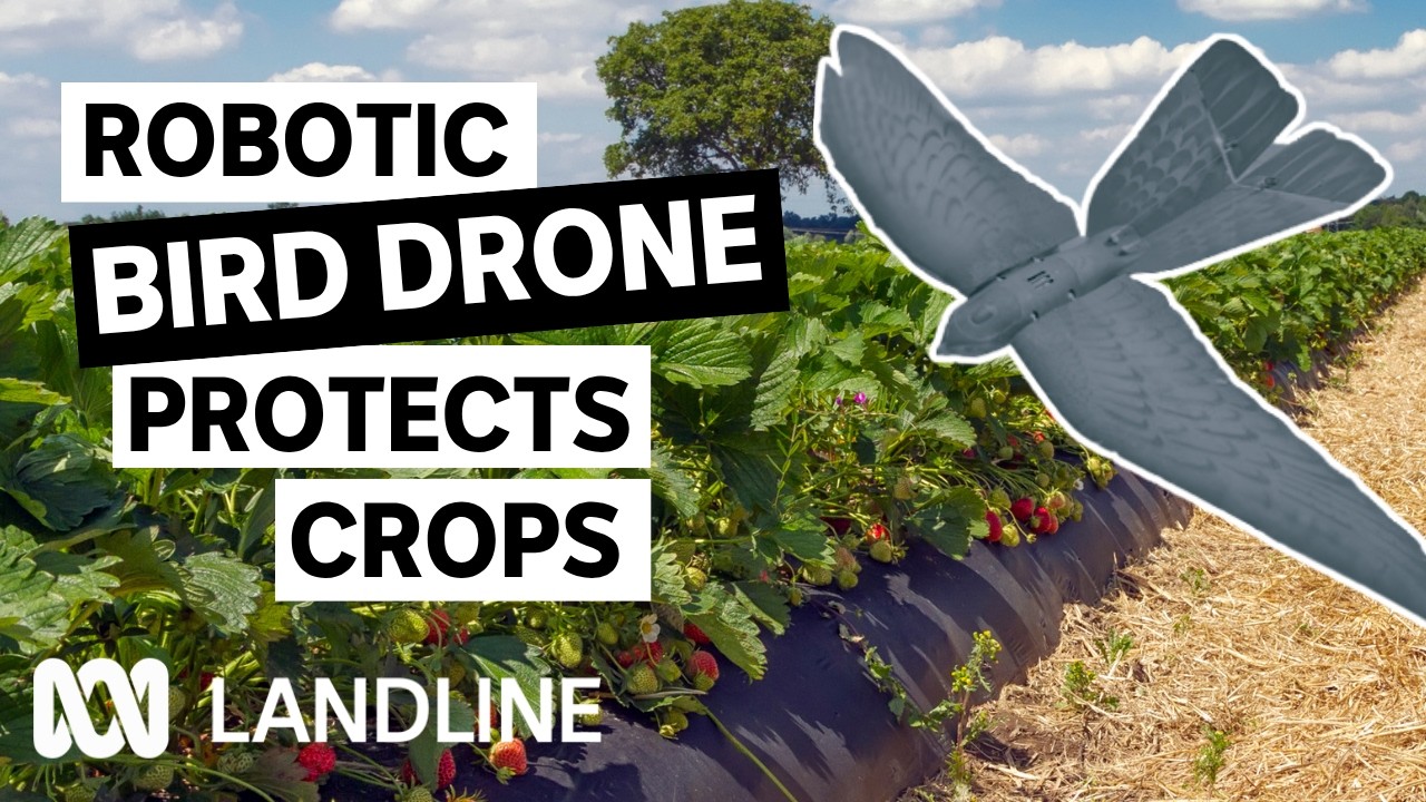 Is this the future of pest control? | Landline | ABC iview
